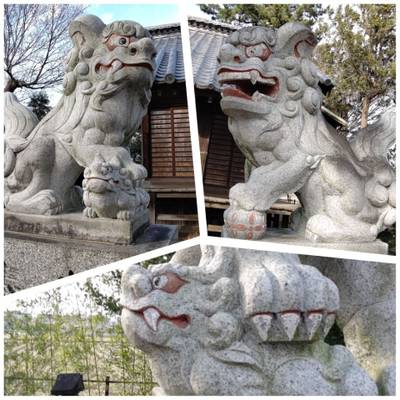 富士神社,見どころ,玉子豆腐