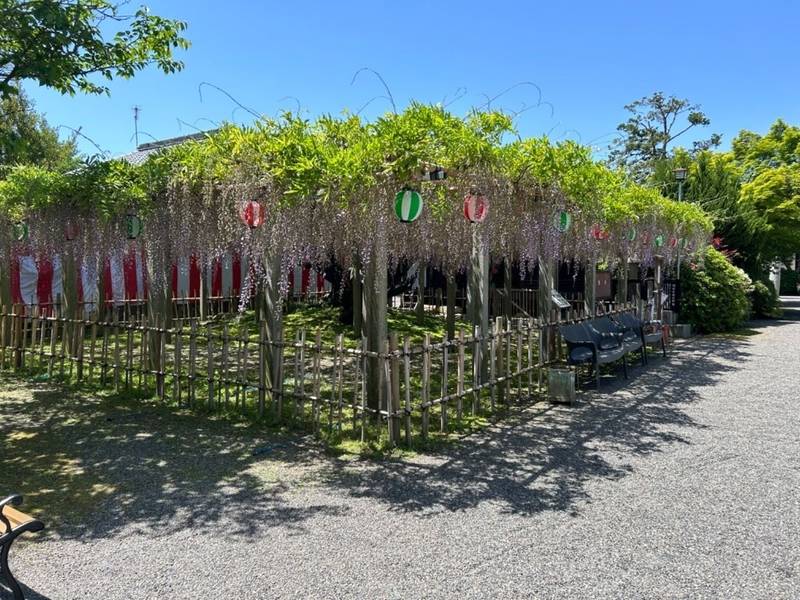 惣社神社,滋賀県草津市志那中町240
