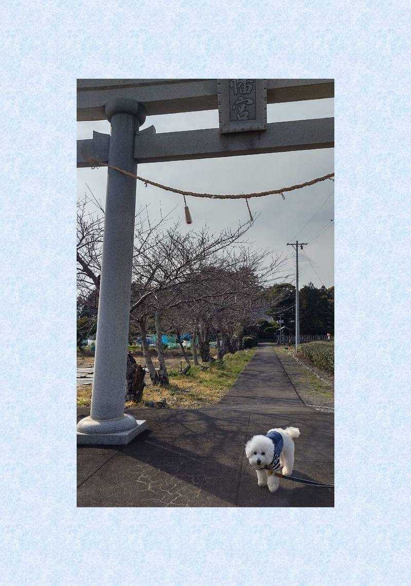 下江留八幡宮,静岡県焼津市下江留2085-2