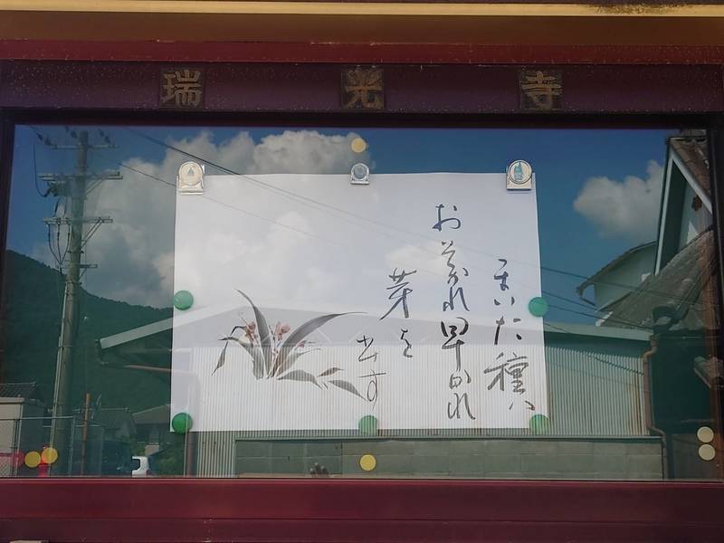 瑞光寺,兵庫県丹波市柏原町柏原３８３