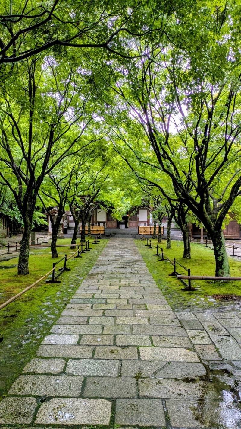 天王院,福岡県糟屋郡篠栗町萩尾1-20