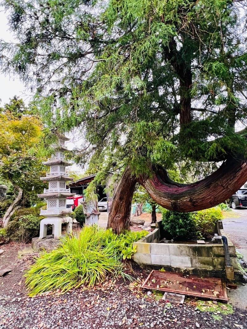大光寺 (遠田観音),福島県喜多方市塩川町遠田谷地中
