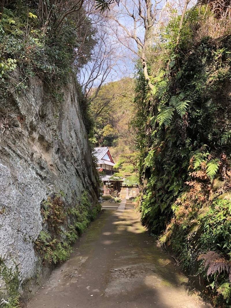 神武寺の見どころ