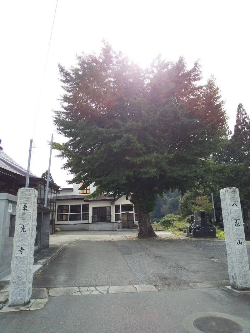東光寺,山形県最上郡舟形町堀内７１