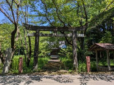 御間都比古神社,見どころ,たこたこ