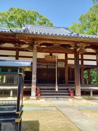 蓮華寺 松山市 愛媛県 Omairi おまいり