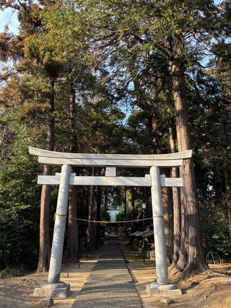 柏尾王子神社,神奈川県横浜市戸塚区柏尾町939