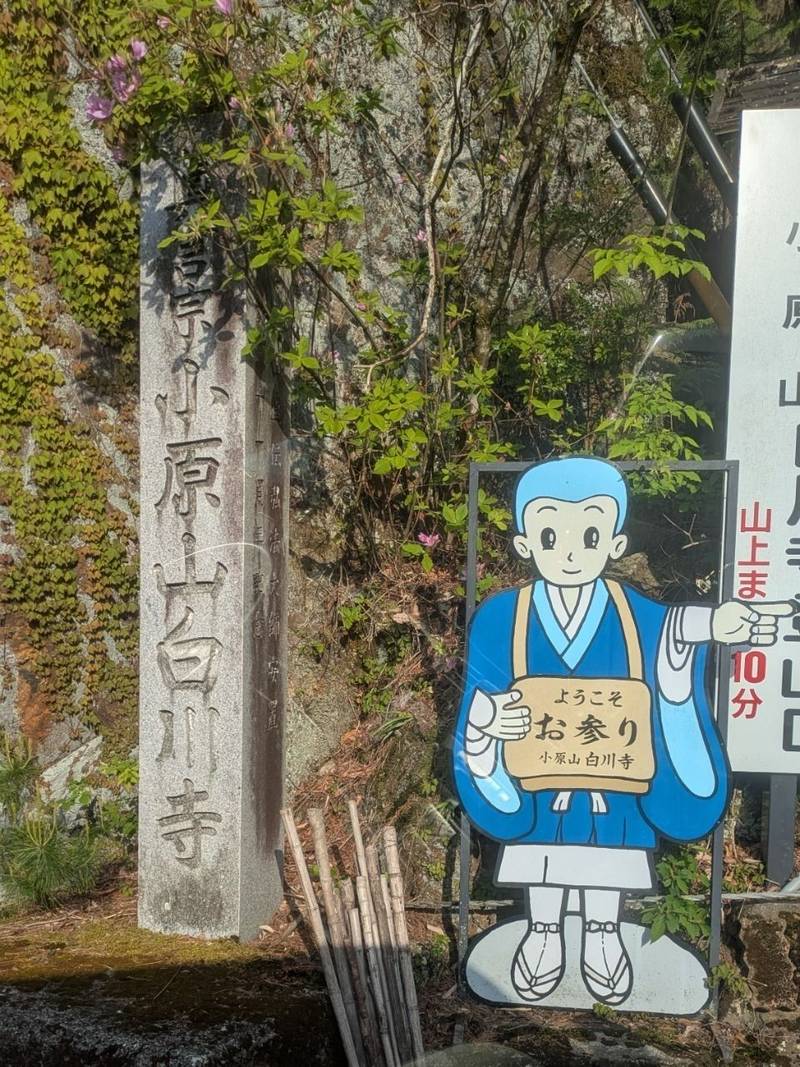 白川寺,岐阜県加茂郡白川町河岐１６２８