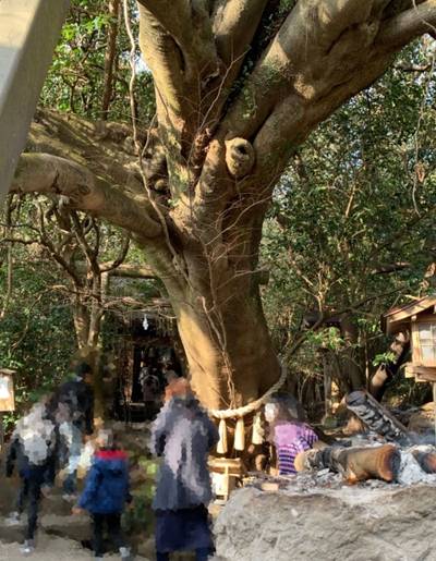 八大龍王水神社 西臼杵郡高千穂町 宮崎県 Omairi おまいり