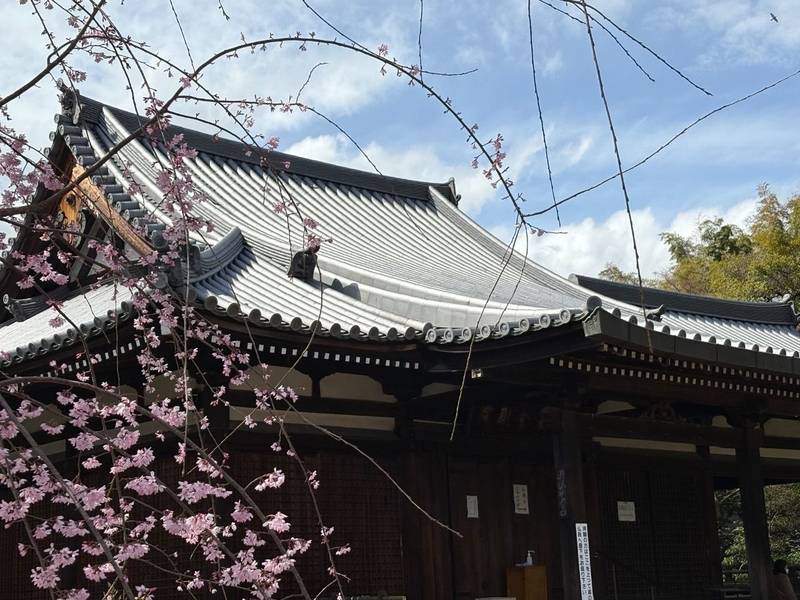 法金剛院,京都府京都市右京区花園扇野町49