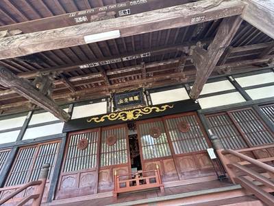 医王寺 (鯖野薬師),見どころ,小龍