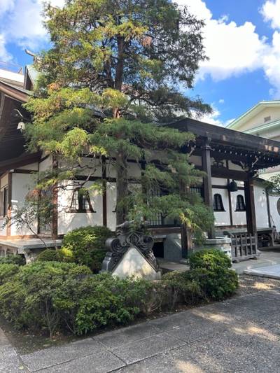 林昌寺,見どころ,ヨッさん
