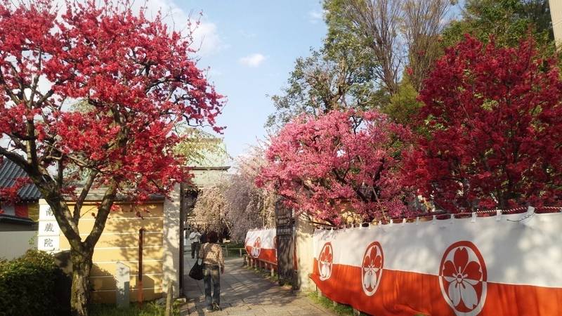 南蔵院     (志村不動尊),東京都板橋区蓮沼町48-8