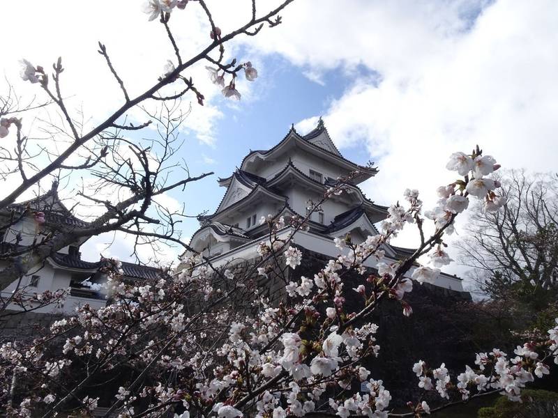 伊賀上野城,三重県伊賀市上野丸之内106