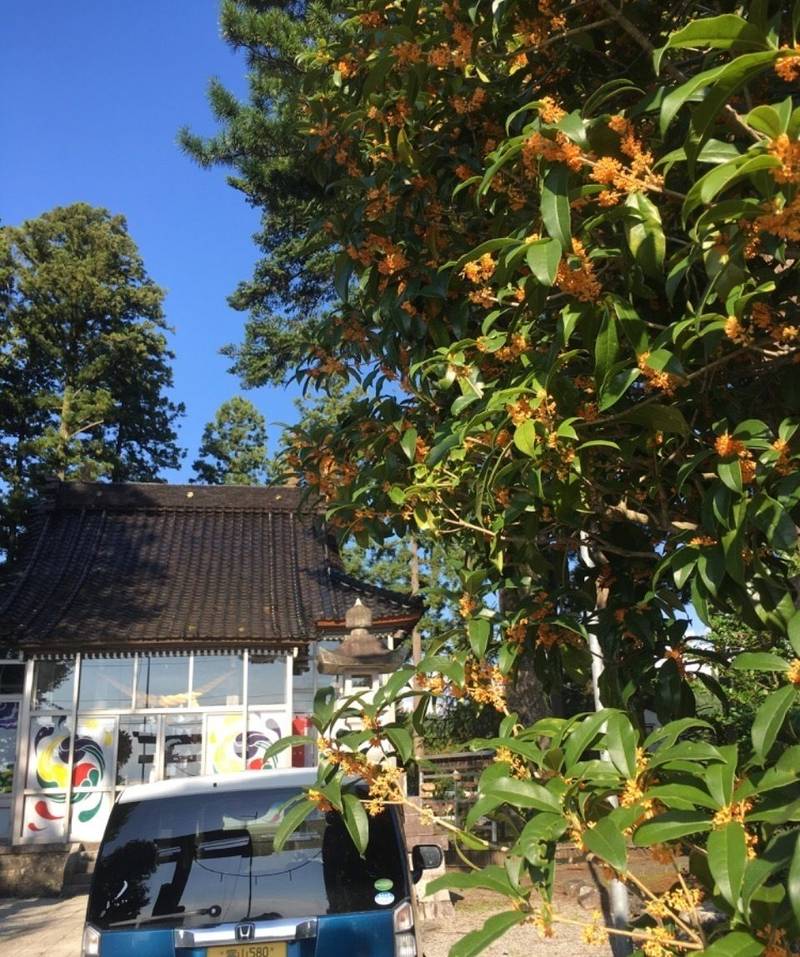香積廣野神社,富山県中新川郡上市町広野１０８８