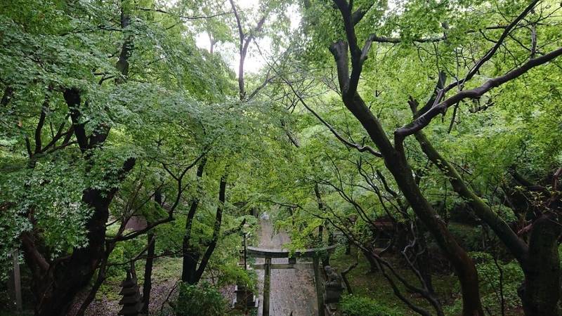 紅葉稲荷神社,山口県下関市豊前田町1-4-3