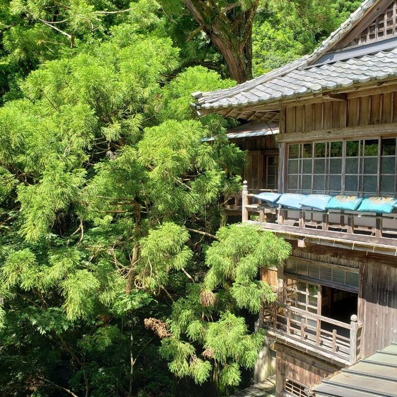 仙龍寺の見どころ