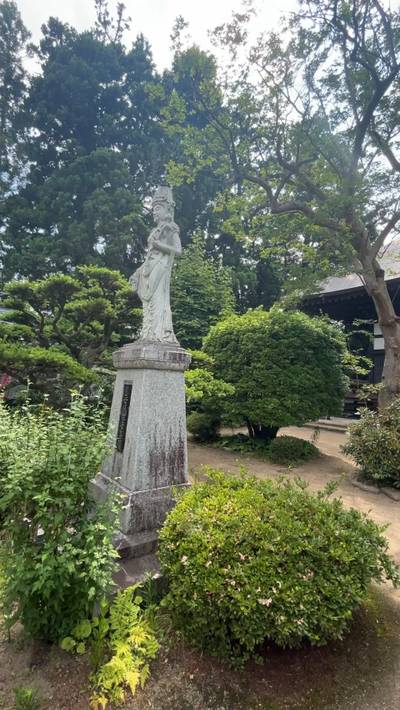 医王寺 (鯖野薬師),見どころ,小龍