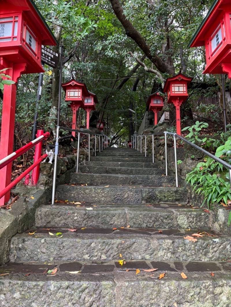 照島神社,鹿児島県いちき串木野市西島平町410