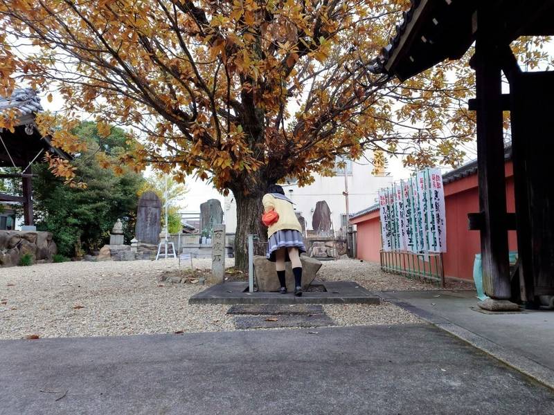 平田寺,愛知県北名古屋市九之坪宮前6