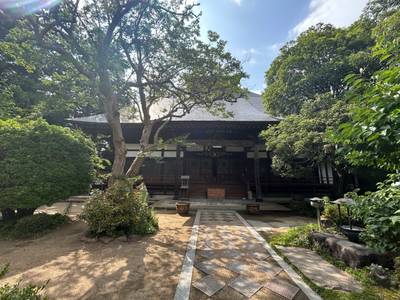 医王寺 (鯖野薬師),見どころ,小龍
