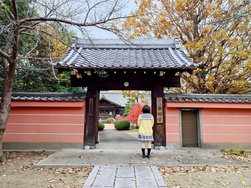 平田寺,愛知県北名古屋市九之坪宮前6