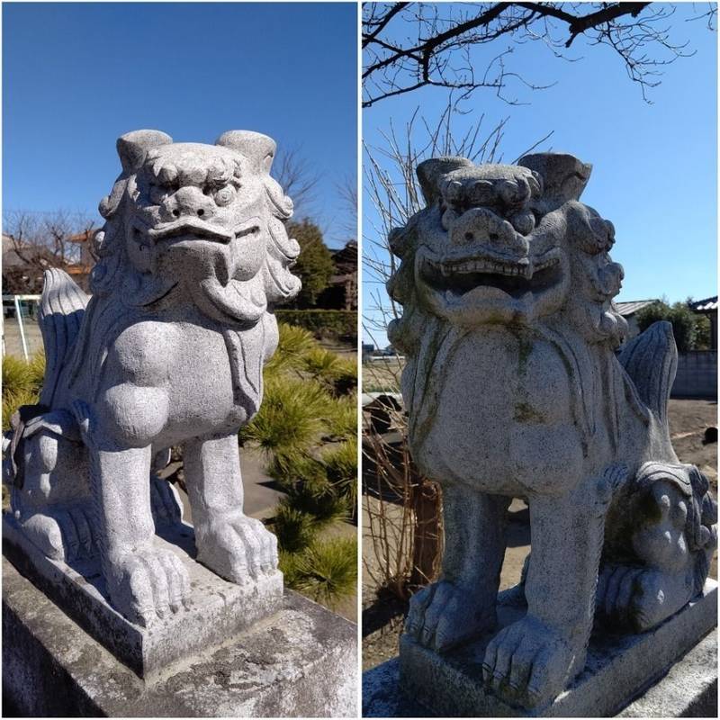 諏訪神社 (樋越),群馬県佐波郡玉村町樋越782