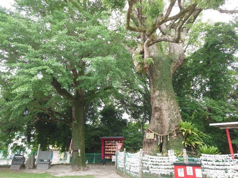 七狩長田貫神社,鹿児島県鹿屋市田崎町517