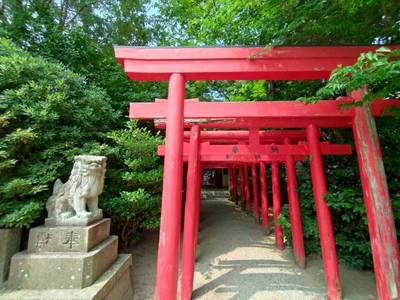 高山神社,見どころ,n.a