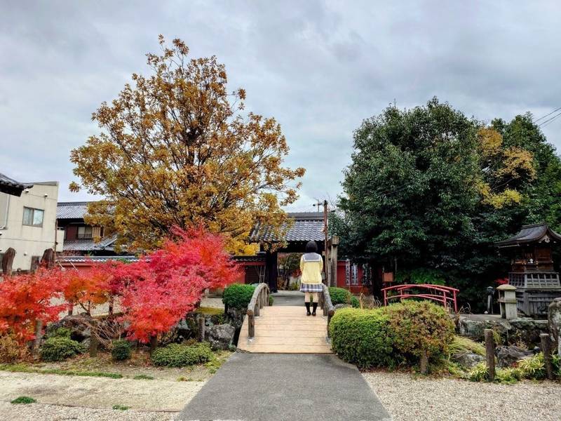 平田寺,愛知県北名古屋市九之坪宮前6