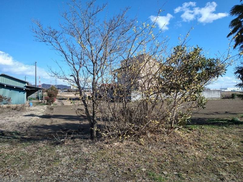 四軒在家観音堂,群馬県太田市新田村田町908