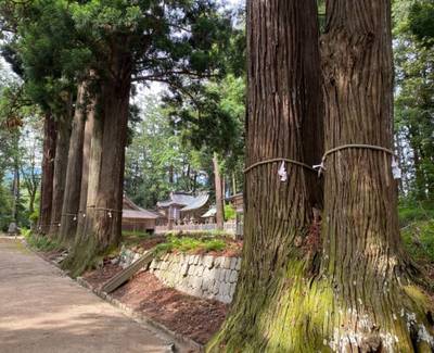 諏訪神社,見どころ,淳