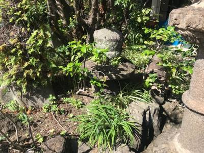 威徳寺,見どころ,テンキの粉