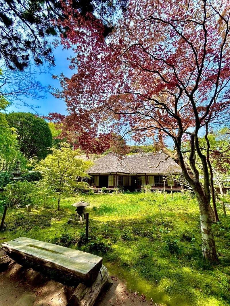 浄智寺,神奈川県鎌倉市山ノ内1402