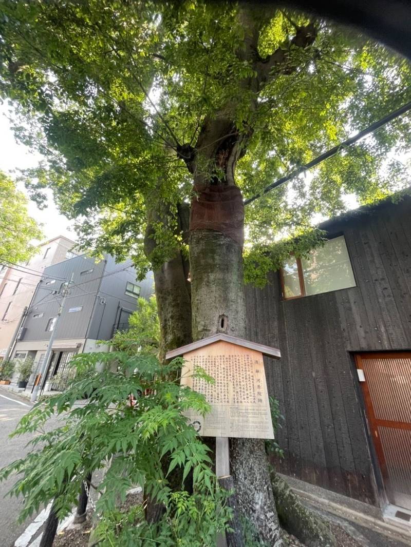 榎木大明神 (都市町),京都府京都市下京区都市町141ｰ1