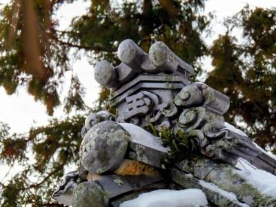 玉依姫神社,見どころ,里