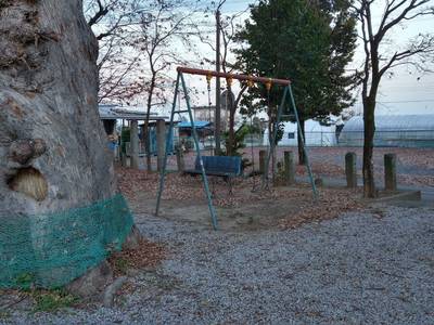 稲荷神社  (間々田),見どころ,おうぎ