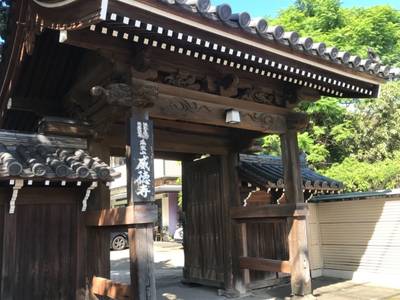威徳寺,見どころ,テンキの粉