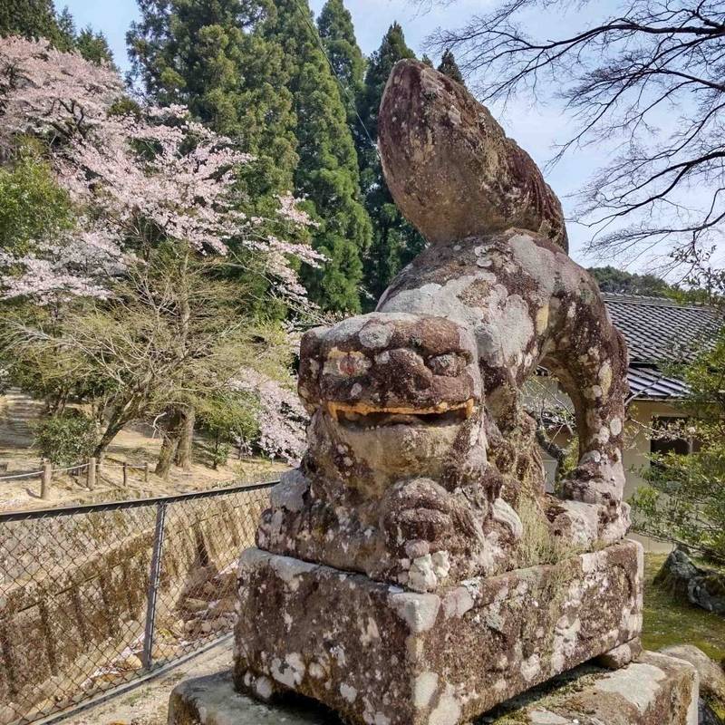 赤秦神社,島根県雲南市加茂町大竹676
