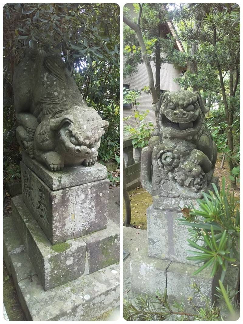 八幡宮 星賀神社,佐賀県唐津市肥前町星賀1433