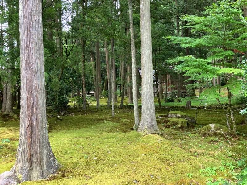 日用神社,石川県小松市日用町卯２７
