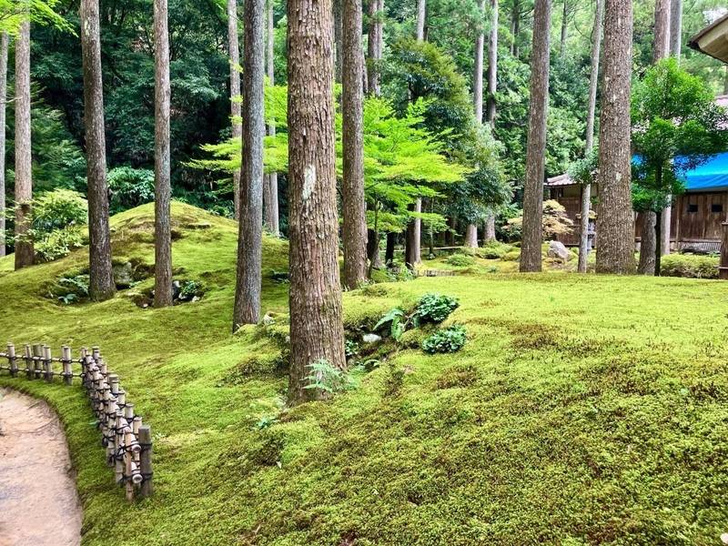 日用神社,石川県小松市日用町卯２７