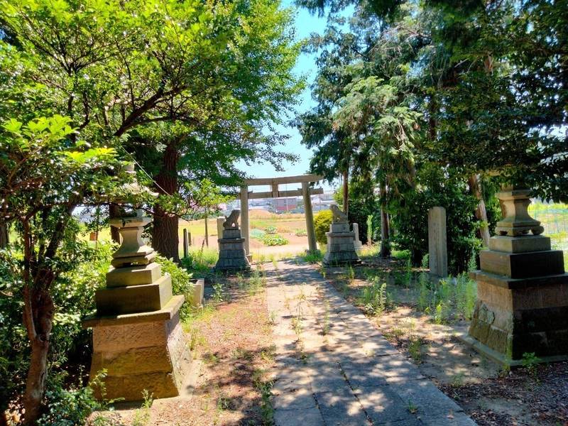 真名板久伊豆神社,埼玉県行田市大字真名板1312