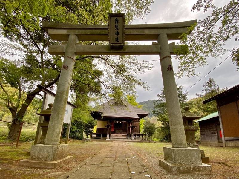 日向神社,神奈川県伊勢原市日向1670
