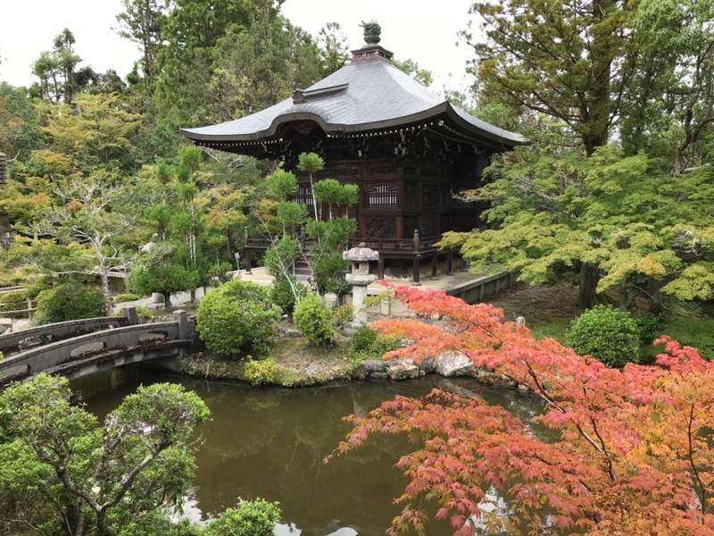 清涼寺   (嵯峨釈迦堂),京都府京都市右京区嵯峨釈迦堂藤ノ木町46