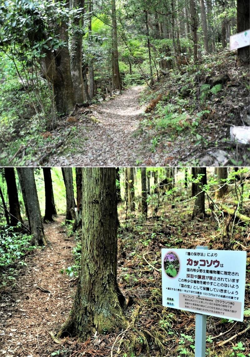 雷神嶽神社,群馬県桐生市梅田町3-310