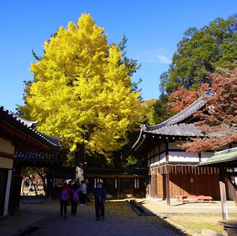 手向山八幡宮  (東大寺八幡宮),奈良県奈良市雑司町434