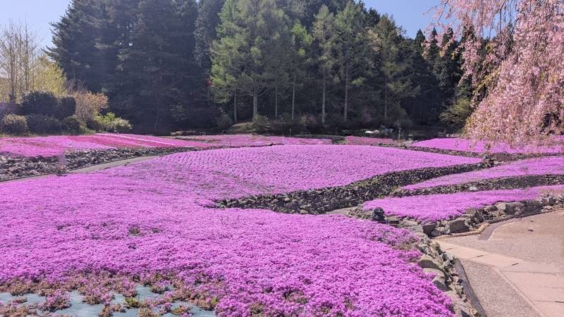 永澤寺,兵庫県三田市永沢寺210