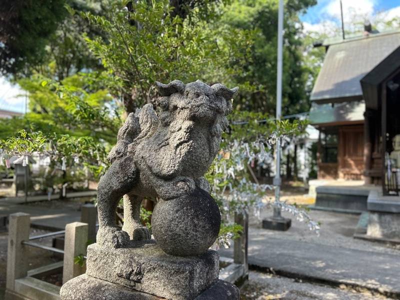 十社大神,富山県射水市三ケ高寺870