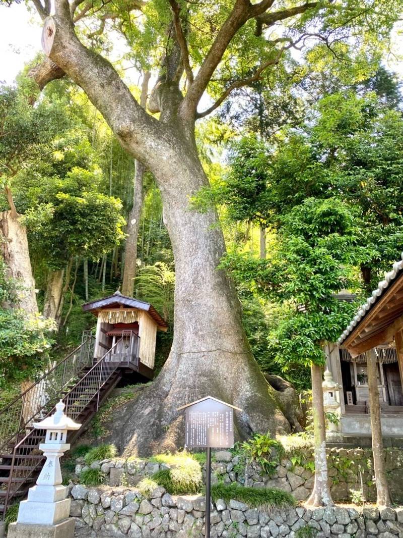 谷津神社,静岡県静岡市駿河区丸子４７９０−１